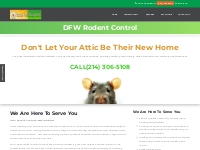 Pest Control for Rats | Rodent Control