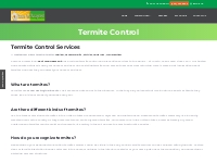 Pest Control for Termites | Termite Control