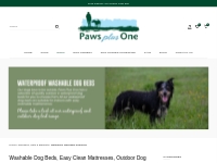 Shop Washable Dog Beds | Outdoor Dog beds Online UK - Paws Plus One