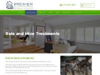 Rats and Mice Treatments - Premier Building and Pest Reports