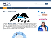 Best PEGA Training in Chennai | PEGA BPM Tool Training Institutes