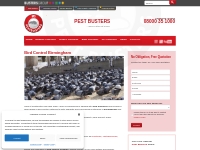 Bird Control Services   Removal | Great Prices | Pestbusters UK