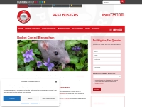 Rodent, Rat and Mouse Control   Removal Services UK