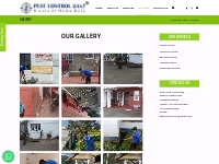 GALLERY - PEST CONTROL 24x7 | PEST CONTROL SERVICES IN CHENNAI, TAMILN