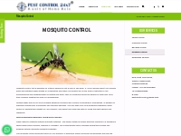 Mosquito control services in chennai | Post construction | Chennai