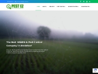 Pestez: Pest Control Services in Ann Arbor, Milford, Novi, Canton, Mic