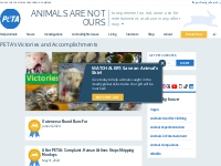 See Our Latest Victories  | PETA