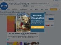 Animal Rights and Campaign News | PETA