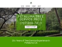 Petaluma's Tree Service Pros - Tree Removal, Trimming and Stump Grindi