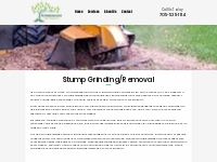 Stump Grinding/Removal | Peterborough Tree Removal