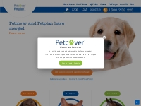 Pet Insurance Australia - Cat, Kitten, Dog & Puppy Plans | Petplan