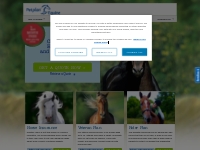 Horse, Veteran and Rider Insurance | Petplan Equine