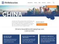 China Pet Relocation: Comprehensive Guide for Moving Dogs and Cats  | 