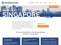 Singapore | PetRelocation