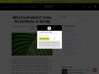 What is Kratom? - A Comprehensive Guide - Phoria Kratom
