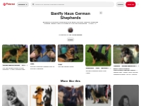 5 Banffy Haus German Shepherds ideas | red german shepherd, german she