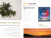 Welcome to Pitkow Associates. We build websites for small to mid-size 