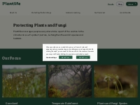 Protecting Plants and Fungi - Plantlife