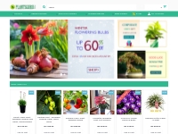 Buy Plants Online India, Live Natural Plant Nursery: plantsguru.com | 