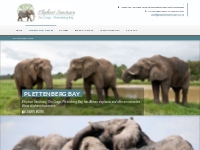 Visit the Elephant Sanctuary in Plettenberg Bay