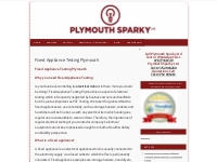 Fixed Appliance Testing Plymouth Sparky Dave Plymouth
