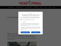Pocket Pitbull - Miniature Pitbulls - Mini Pit Bulls - Pit Bull Care