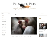 Pet Food News | Poisoned Pets | Pet Food Safety News