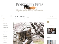 WTF Food News | Poisoned Pets | Pet Food Safety News