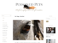Animal Feed | Poisoned Pets | Pet Food Safety News