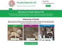 Poodle Network UK | Poodle Rescue