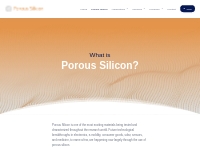 Porous Silicon: one of the most exciting materials