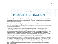 Property Litigation - Protopapas