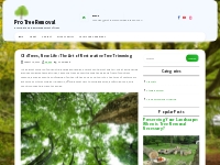 Old Trees, New Life: The Art of Restorative Tree Trimming   Pro Tree R