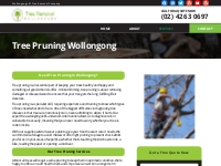 Tree Pruning Wollongong | Arborists | Tree Care Services Wollongong