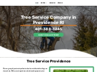       Tree Company | Tree Specialist | Providence, RI