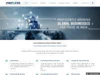 Proxcel Advisory - Specialized Business and Financial Consulting Firm