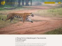 5 Things To Do in Bandhavgarh | 5 Activities in Bandhavgarh