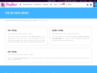 Custom website development on PHP or asp by best website designing com