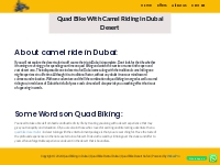 Quad Bike With Camel Ride in Dubai Desert - Book Now