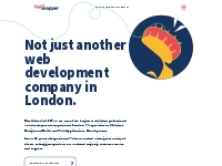 Professional Web Development Company London |  | Red Snapper