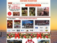 Reindeer Promotions-Anywhere in the USA 585-340-7969