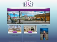 PRO Realty Operations - Colleen Vandendriessche | Real Estate Broker a