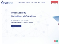 Revotips - Cyber Security and Digital Transformation Consultants 