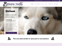 Ribble Valley Kennels   Cattery