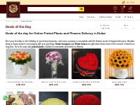  Deals of the Day - RichRose Flower Gifts    Flower Delivery Dubai