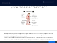 Lyme Disease   Diabetes Link - Insights from Teslamedtec LLC