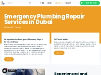 Emergency Plumbing Repair Services In Dubai | Rise Up Dubai