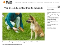 5 Essential Dog Commands to Learn | Rocky Mountain K9
