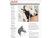 Rohde Fine Art : Artist Heather Rohde : Paintings Horse Art Dog Cat Ho