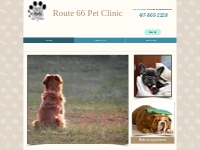 Route 66 Pet Clinic